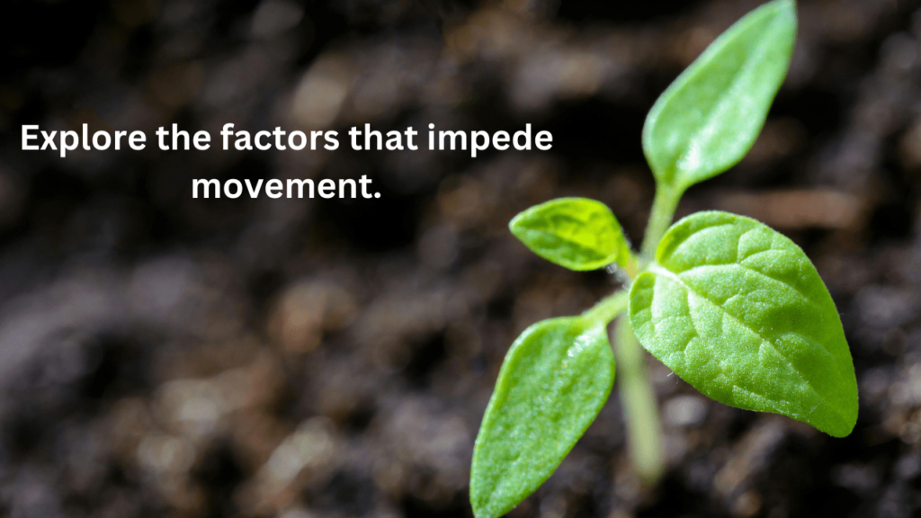 Explore the factors that impede movement.